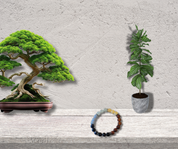 Chakra Bracelet